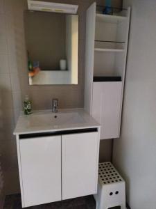 a bathroom with a white sink and a mirror at Zen'Ny in Hotton +27 photos