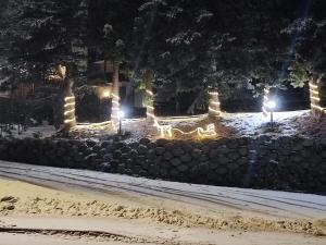 Fotografie z fotogalerie ubytování Hotel Pizboè v destinaci Mazzin