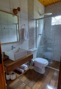 een badkamer met een wastafel, een toilet en een douche bij Pousada Recanto Das Araucárias in Bocaina do Sul