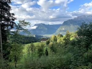 a house in the middle of a valley with mountains at Urlaub mit Hund im Salzburger Land in Wegscheid