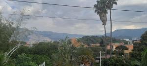 una ciudad con una palmera y montañas en el fondo en Alcobas con desayuno incluido baño compartido, en Medellín