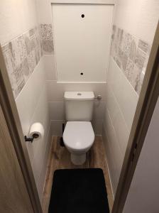 a small bathroom with a toilet with a white cabinet at Apartmán v Desné in Desná
