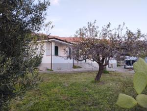 Zahrada ubytování Villa Bianca