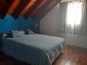 1 dormitorio con 1 cama con paredes y ventanas azules en Cabañas Huenco en El Calafate