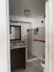 a bathroom with a sink and a shower and a toilet at Posada Xtakay Bacalar ''Turix'' in Bacalar