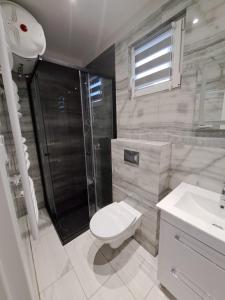 a bathroom with a shower and a toilet and a sink at Oliwne Wzgórza in Stronie Śląskie +69 photos