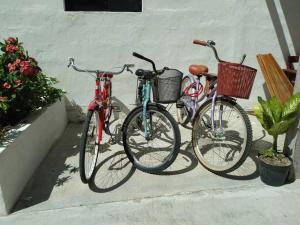 three bikes are parked next to a wall at Posada Xtakay Bacalar in Bacalar