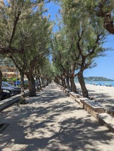 eine von Bäumen gesäumte Straße mit einer Reihe von Bäumen in der Unterkunft "Beyond the Sea" Casa Vacanze - Costa dei Trabocchi in Fossacesia