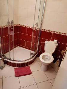 A bathroom at Styria hotel Chvalovice