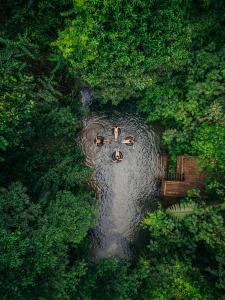 an overhead view of a group of people in the water at Jaguar Creek in Good Living Camp