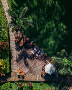 an overhead view of a wooden deck with a palm tree at Jaguar Creek in Good Living Camp
