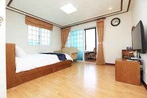 濟州的住宿－Sea View，一间卧室配有一张床和一台平面电视