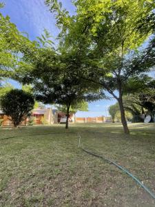 wąż leżący w trawie pod dwoma drzewami w obiekcie Departamentos Lidia w mieście Mar del Plata
