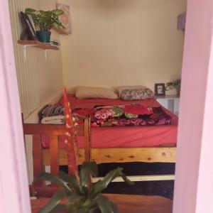 a small room with a bed and a plant at Alma Double Room Garden View in Rivas