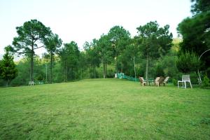 a group of chairs sitting in a grass field at Pineland Resorts & Chalets Kasauli in Kasauli