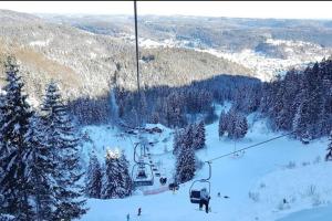 Hundeparadies Waldblick Lauenstein im Winter