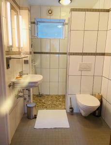 a bathroom with a toilet and a sink at Hundeparadies Waldblick Lauenstein in Ludwigsstadt