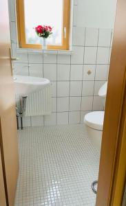 baño con lavabo y aseo y ventana en Hundeparadies Waldblick Lauenstein, en Ludwigsstadt