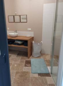 a bathroom with a sink and a shower with a mirror at Gîte Val de Loire accès privatif: 2/4 personnes in Saint-Branchs