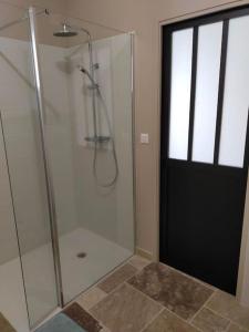 a bathroom with a shower with a glass door at Gîte Val de Loire accès privatif: 2/4 personnes in Saint-Branchs