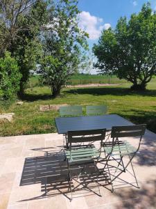 a picnic table and chairs with a view of a park at Gîte Val de Loire accès privatif: 2/4 personnes in Saint-Branchs