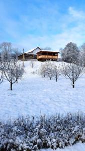 a house in a snow covered field with trees at Casa Veche Corbeni in Corbeni