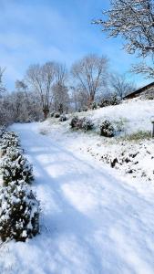 una carretera cubierta de nieve con árboles en el fondo en Casa Veche Corbeni en Corbeni