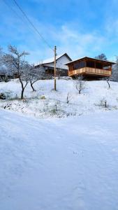 una casa en un campo cubierto de nieve en Casa Veche Corbeni, en Corbeni