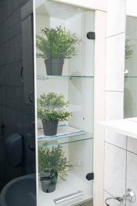 ein Badezimmer mit drei Topfpflanzen auf Regalen in der Unterkunft Domaćinska Kuća Banja Luka in Banja Luka