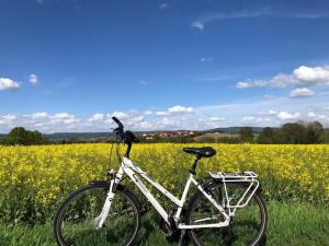 una bicicleta estacionada frente a un campo de semillas de colza en Ferienwohnung Wesertal, en Hameln