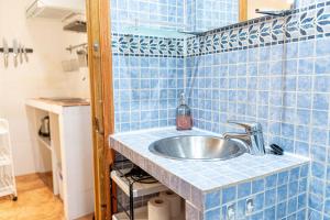 een badkamer met een wastafel in een blauwe betegelde muur bij Adorable apartamento en Almagro in Madrid