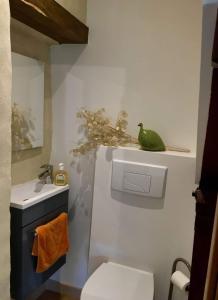 baño con aseo y un pájaro verde en un estante en Le moulin du Rubeguet, en Saint-Julien-de-Cassagnas