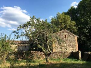 un viejo edificio de piedra con un árbol delante de él en Le moulin du Rubeguet, en Saint-Julien-de-Cassagnas