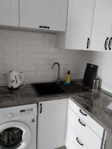 eine Küche mit einer Spüle und einer Waschmaschine in der Unterkunft Молодежный in Almaty