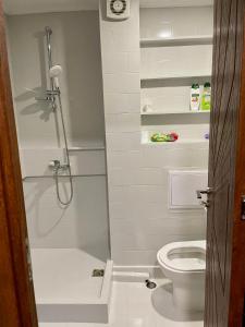 een badkamer met een douche en een toilet bij Amazing view central 1 bedroom apartment in Pazardzhik