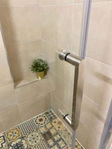 a shower stall with a plant on a tile floor at INCREDIBLE VIEW in Larnaka