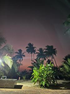 Imagen de la galería de Delta Hospitality - Sea facing rooms with a PRIVATE BEACH, en Kalyānpur