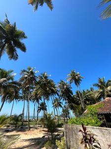 a group of palm trees on a sandy beach at Delta Hospitality - Sea facing rooms with a PRIVATE BEACH in Kalyānpur