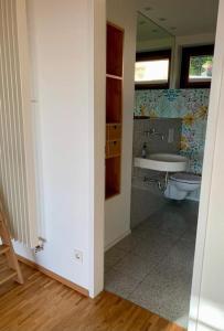 ein Bad mit einem Waschbecken und einem WC in der Unterkunft Ferienloft Talblick Detmold Berlebeck in Detmold