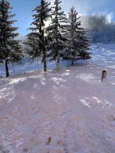 Fotografia z galérie ubytovania Chez Elodie au CORBIER v destinácii Le Corbier