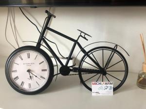 Jazda na bicykli v okolí ubytovania MF City Apartment