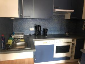 Kuchyňa alebo kuchynka v ubytovaní MF City Apartment