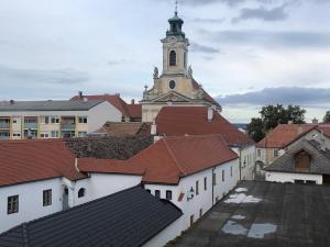 einen Blick auf die Dächer von Gebäuden mit einem Uhrturm in der Unterkunft MF City Apartment in Korneuburg