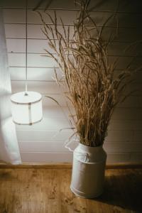 Lūšakrogs的住宿－VIESU MĀJA KALNARUŠĶI，白色花瓶,桌子上放着植物