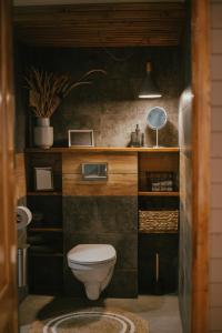 VIESU MĀJA KALNARUŠĶI في Lūšakrogs: حمام مع مرحاض في الغرفة
