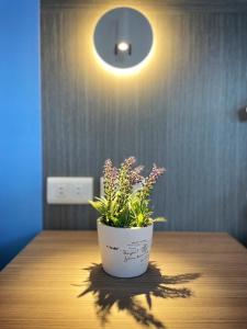 Φωτογραφία από το άλμπουμ του Wonderful Kenting Hostel σε Eluan