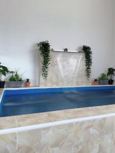 a blue swimming pool with potted plants on a wall at PRIVATE POOL SEALIVE Home 1 in Kuala Terengganu