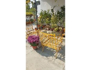 een groep stoelen en bloemen op een patio bij Lucknow Home Stay, Lucknow in Lucknow