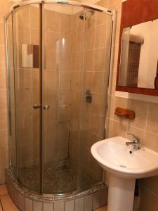 une douche avec une porte vitrée à côté d'un lavabo dans l'établissement The Don Apt, Greenstone, à Edendale
