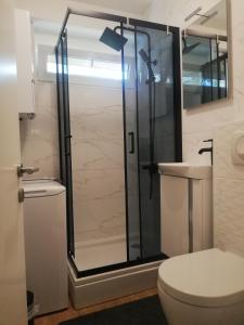 Studio apartman Jordanovac Rebro في زغرب: حمام مع دش مع مرحاض ومغسلة